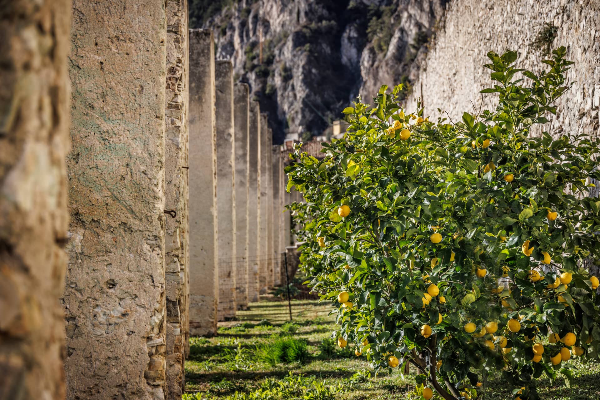 La Limonaia Del Castel